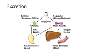 Excretion
 
