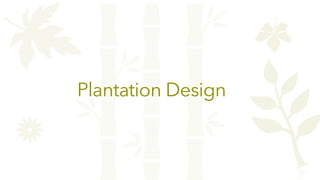 Plantation Design
 