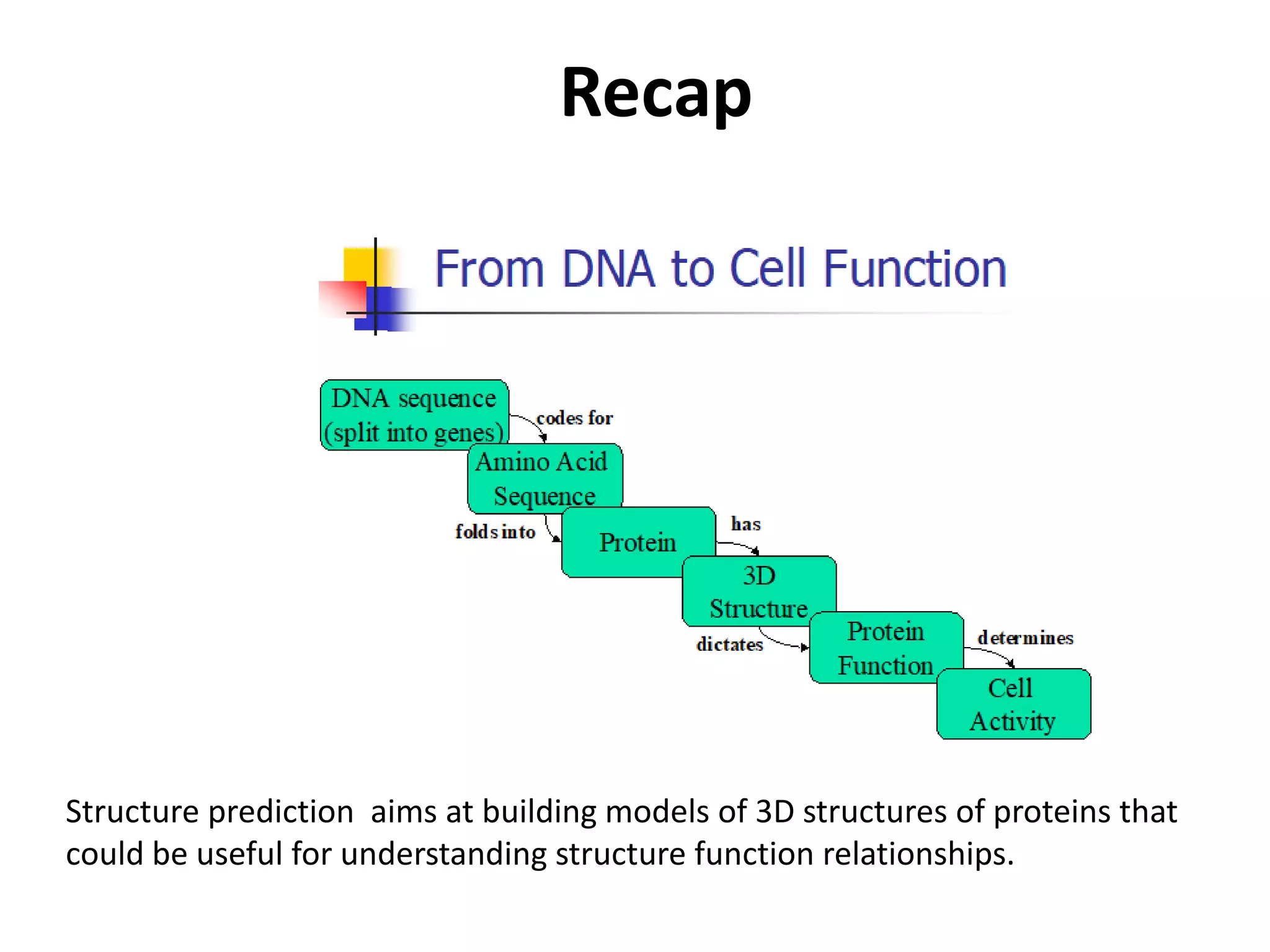 L1Protein_Structure_Analysis.pptx