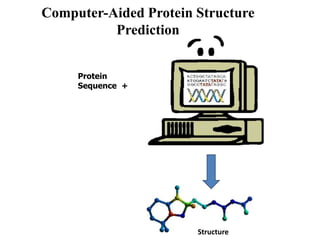 Computer-Aided Protein Structure
Prediction
Protein
Sequence +
Structure
 