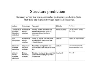 L1Protein_Structure_Analysis.pptx