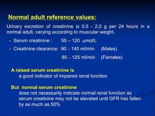 L1) Renal function tests.pdf lmmu, lusaka | PDF