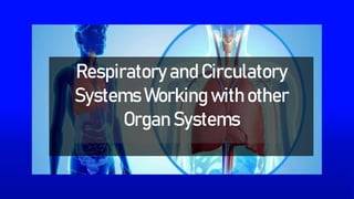 Respiratory and Circulatory
Systems Working with other
Organ Systems
 