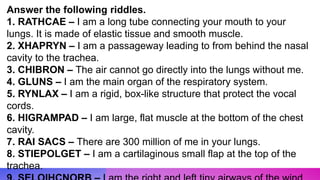 L1 Respiratory System.pptx