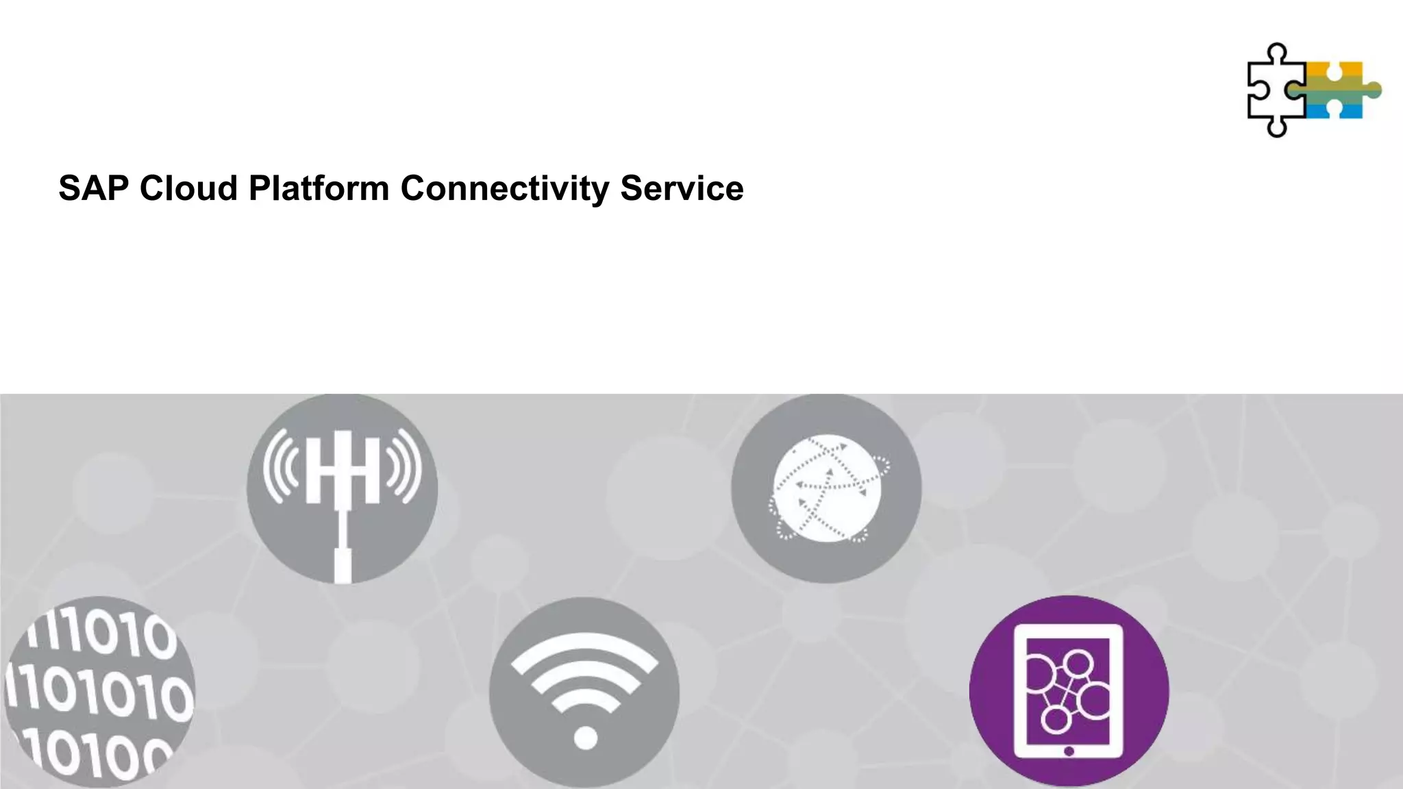 SAP Cloud Platform Connectivity Service
Introduction
 