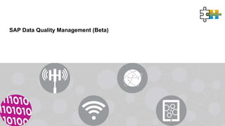 SAP Data Quality Management (Beta)
 
