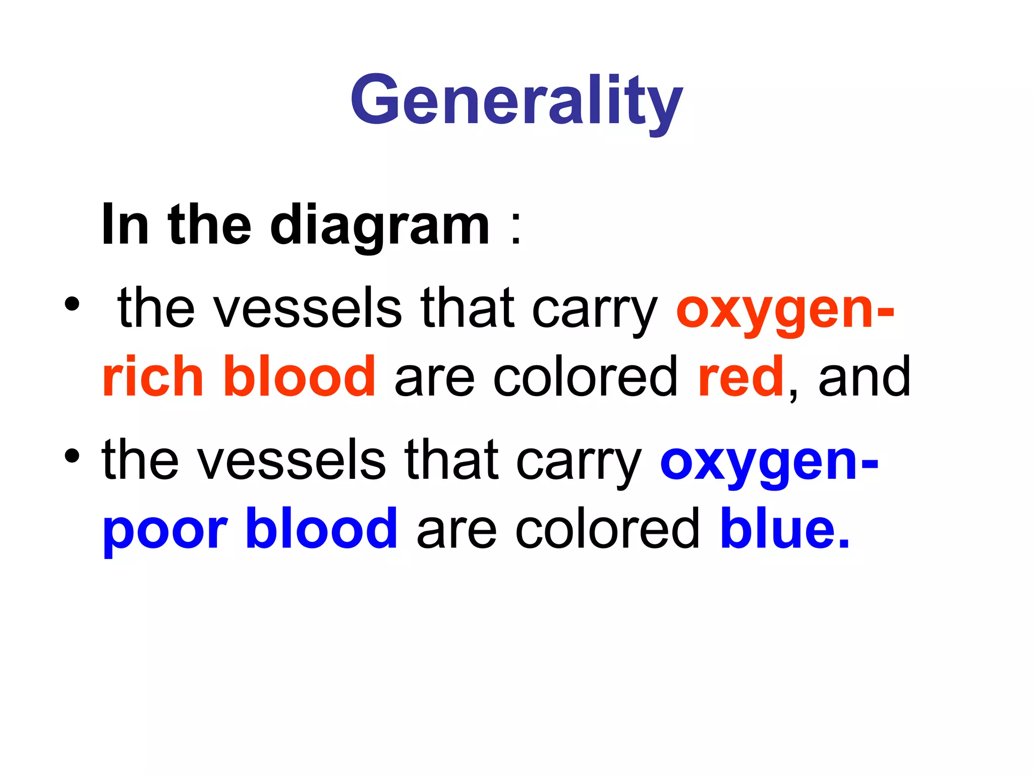 Generality
In the diagram :
• the vessels that carry oxygen-
rich blood are colored red, and
• the vessels that carry oxygen-
poor blood are colored blue.
 