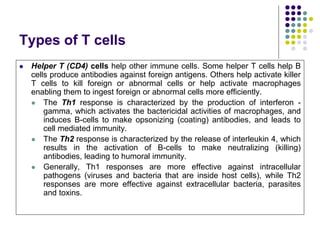 Types of T cells
 Helper T (CD4) cells help other immune cells. Some helper T cells help B
cells produce antibodies against foreign antigens. Others help activate killer
T cells to kill foreign or abnormal cells or help activate macrophages
enabling them to ingest foreign or abnormal cells more efficiently.
 The Th1 response is characterized by the production of interferon -
gamma, which activates the bactericidal activities of macrophages, and
induces B-cells to make opsonizing (coating) antibodies, and leads to
cell mediated immunity.
 The Th2 response is characterized by the release of interleukin 4, which
results in the activation of B-cells to make neutralizing (killing)
antibodies, leading to humoral immunity.
 Generally, Th1 responses are more effective against intracellular
pathogens (viruses and bacteria that are inside host cells), while Th2
responses are more effective against extracellular bacteria, parasites
and toxins.
 