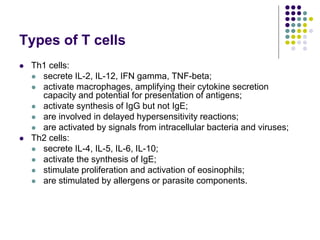 Types of T cells
 Th1 cells:
 secrete IL-2, IL-12, IFN gamma, TNF-beta;
 activate macrophages, amplifying their cytokine secretion
capacity and potential for presentation of antigens;
 activate synthesis of IgG but not IgE;
 are involved in delayed hypersensitivity reactions;
 are activated by signals from intracellular bacteria and viruses;
 Th2 cells:
 secrete IL-4, IL-5, IL-6, IL-10;
 activate the synthesis of IgE;
 stimulate proliferation and activation of eosinophils;
 are stimulated by allergens or parasite components.
 