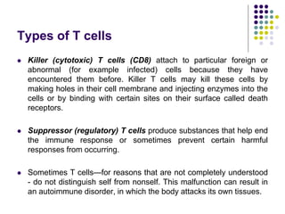 Types of T cells
 Killer (cytotoxic) T cells (CD8) attach to particular foreign or
abnormal (for example infected) cells because they have
encountered them before. Killer T cells may kill these cells by
making holes in their cell membrane and injecting enzymes into the
cells or by binding with certain sites on their surface called death
receptors.
 Suppressor (regulatory) T cells produce substances that help end
the immune response or sometimes prevent certain harmful
responses from occurring.
 Sometimes T cells—for reasons that are not completely understood
- do not distinguish self from nonself. This malfunction can result in
an autoimmune disorder, in which the body attacks its own tissues.
 