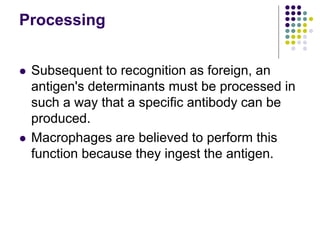 Processing
 Subsequent to recognition as foreign, an
antigen's determinants must be processed in
such a way that a specific antibody can be
produced.
 Macrophages are believed to perform this
function because they ingest the antigen.
 