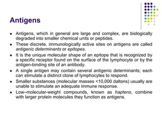 Antigens
 Antigens, which in general are large and complex, are biologically
degraded into smaller chemical units or peptides.
 These discrete, immunologically active sites on antigens are called
antigenic determinants or epitopes.
 It is the unique molecular shape of an epitope that is recognized by
a specific receptor found on the surface of the lymphocyte or by the
antigen-binding site of an antibody.
 A single antigen may contain several antigenic determinants; each
can stimulate a distinct clone of lymphocytes to respond.
 Smaller substances (molecular masses <10,000 daltons) usually are
unable to stimulate an adequate immune response.
 Low–molecular-weight compounds, known as haptens, combine
with larger protein molecules they function as antigens.
 