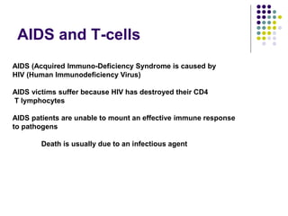AIDS and T-cells
AIDS (Acquired Immuno-Deficiency Syndrome is caused by
HIV (Human Immunodeficiency Virus)
AIDS victims suffer because HIV has destroyed their CD4
T lymphocytes
AIDS patients are unable to mount an effective immune response
to pathogens
Death is usually due to an infectious agent
 