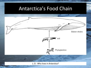 L2. antarctica food chain and wildlife ap