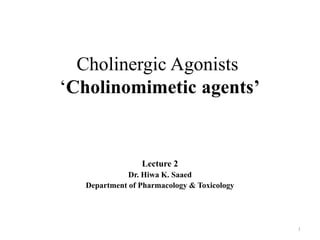Cholinergic Agonists
‘Cholinomimetic agents’
Lecture 2
Dr. Hiwa K. Saaed
Department of Pharmacology & Toxicology
1
 