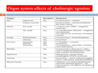 Organ system effects of cholinergic agonists
24
 