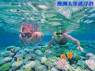 澳洲大堡礁浮潛
 