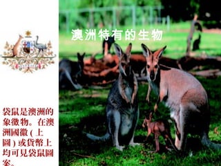 袋鼠是澳洲的
象 物。在澳徵
洲國徽 ( 上
圖 ) 或貨幣上
均可見袋鼠圖
澳洲特有的生物
 