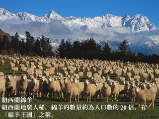 紐西蘭綿羊
紐西蘭地廣人稀，綿羊的數量約為人口數的 20 倍，有
「綿羊王國」之稱。
 