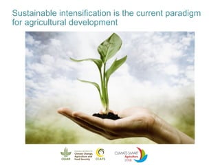 Will sustainable intensification help us avoid exceeding 2 °C?