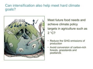 Will sustainable intensification help us avoid exceeding 2 °C?