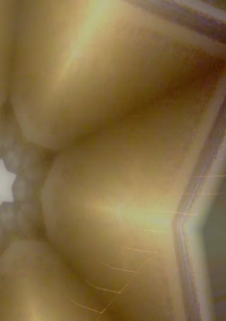 No all who wander are lost