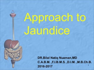 Approach to
Jaundice
DR.Bilal Natiq Nuaman,MD
C.A.B.M. ,F.I.B.M.S. ,D.I.M. ,M.B.Ch.B.
2016-2017
1
 