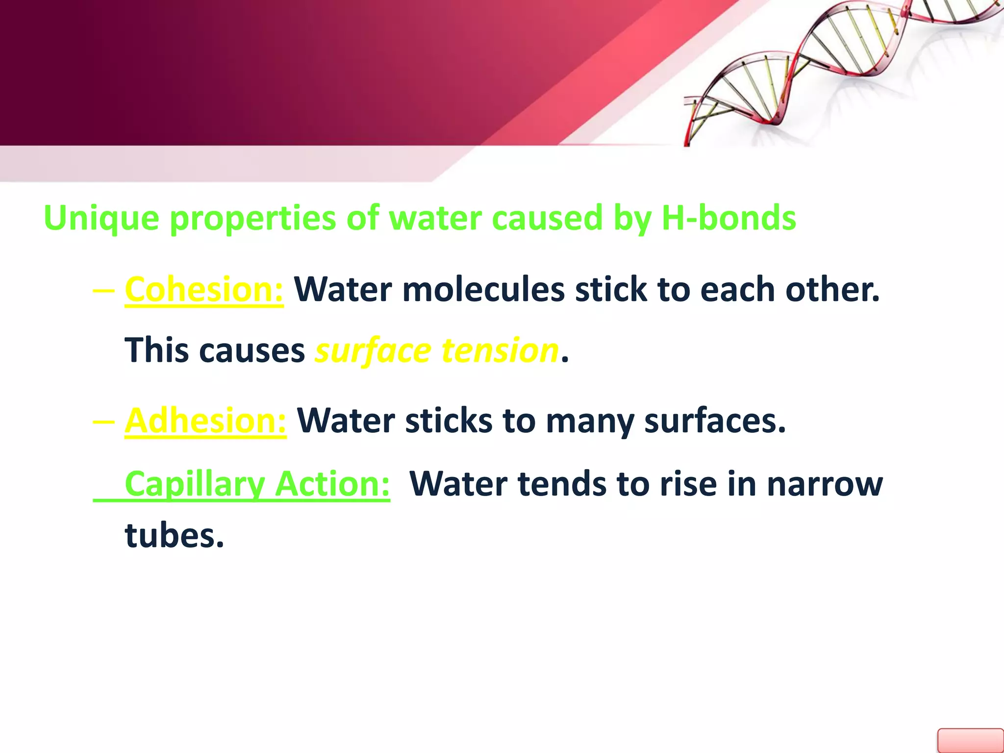 Unique properties of water caused by H-bonds
– Cohesion: Water molecules stick to each other.
This causes surface tension.
– Adhesion: Water sticks to many surfaces.
Capillary Action: Water tends to rise in narrow
tubes.
 