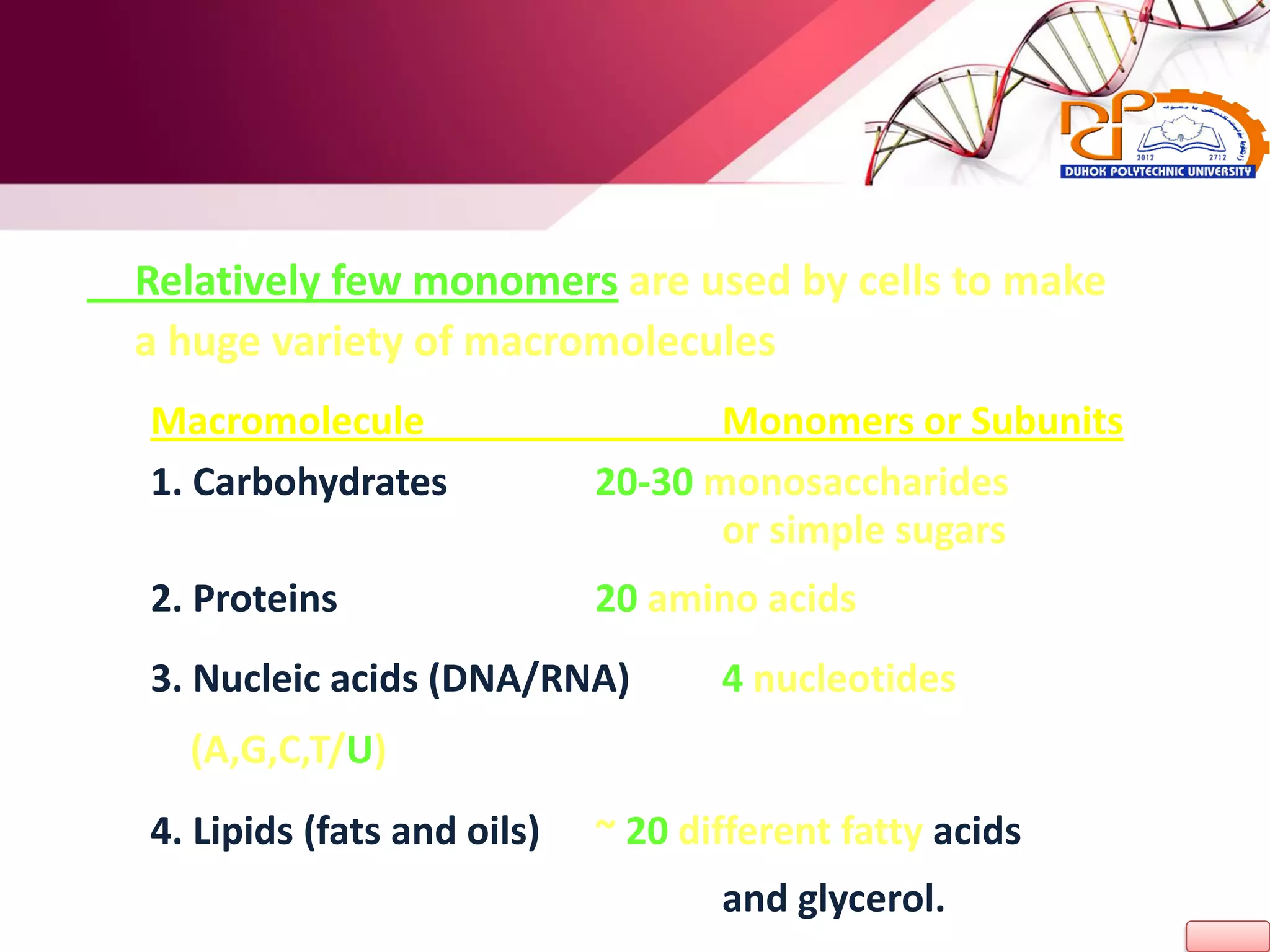 Relatively few monomers are used by cells to make
a huge variety of macromolecules
Macromolecule Monomers or Subunits
1. Carbohydrates 20-30 monosaccharides
or simple sugars
2. Proteins 20 amino acids
3. Nucleic acids (DNA/RNA) 4 nucleotides
(A,G,C,T/U)
4. Lipids (fats and oils) ~ 20 different fatty acids
and glycerol.
 