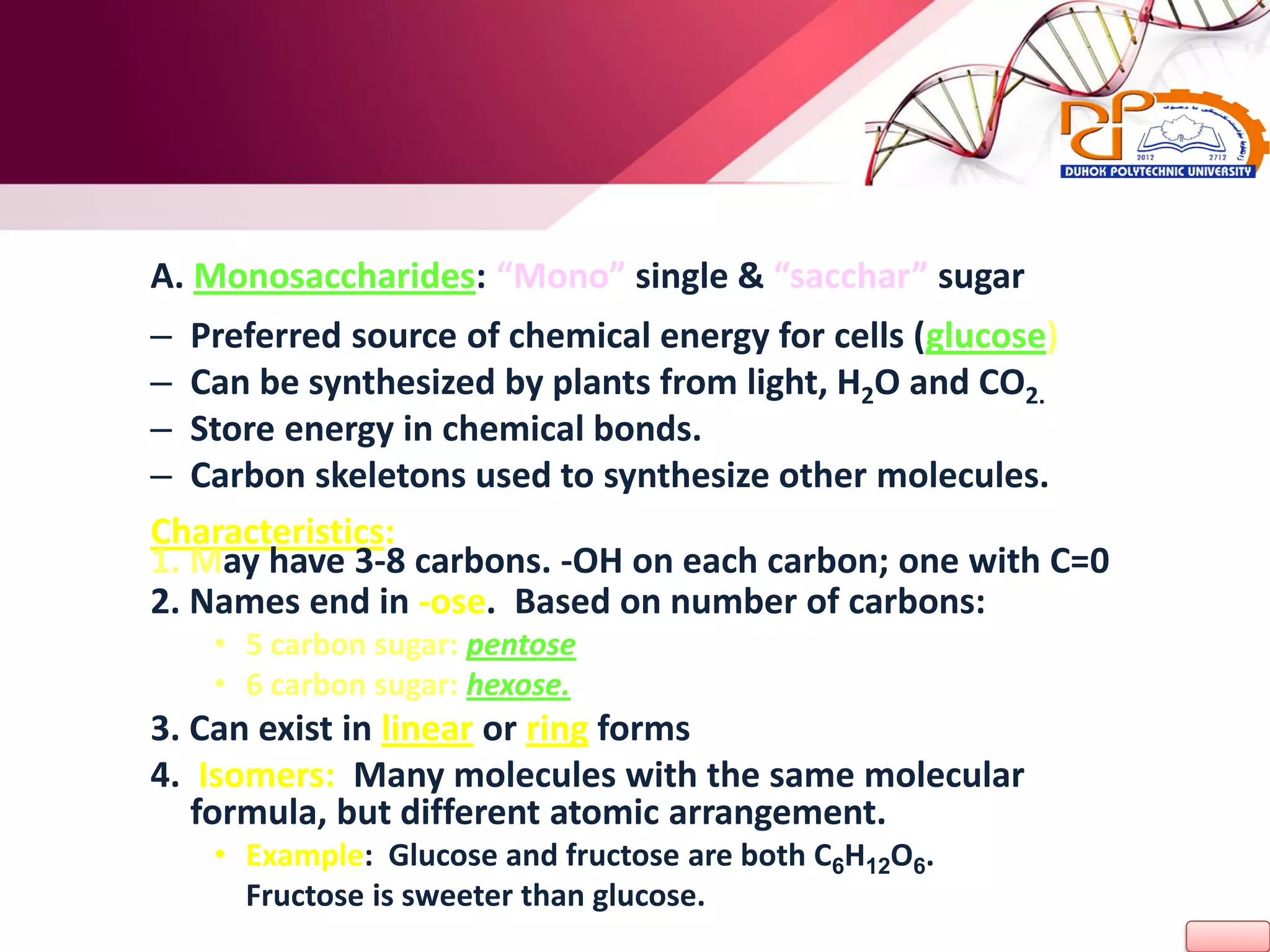 A. Monosaccharides: “Mono” single & “sacchar” sugar
– Preferred source of chemical energy for cells (glucose)
– Can be synthesized by plants from light, H2O and CO2.
– Store energy in chemical bonds.
– Carbon skeletons used to synthesize other molecules.
Characteristics:
1. May have 3-8 carbons. -OH on each carbon; one with C=0
2. Names end in -ose. Based on number of carbons:
• 5 carbon sugar: pentose
• 6 carbon sugar: hexose.
3. Can exist in linear or ring forms
4. Isomers: Many molecules with the same molecular
formula, but different atomic arrangement.
• Example: Glucose and fructose are both C6H12O6.
Fructose is sweeter than glucose.
 