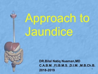 Approach
Jaundice
to
DR.Bilal Natiq Nuaman,MD
C.A.B.M. ,F.I.B.M.S. ,D.I.M. ,M.B.Ch.B.
1
2018-2019
 