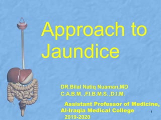 Assistant Professor of Medicine,
Al-Iraqia Medical College
Approach
Jaundice
to
DR.Bilal Natiq Nuaman,MD
C.A.B.M. ,F.I.B.M.S. ,D.I.M.
1
2019-2020
 