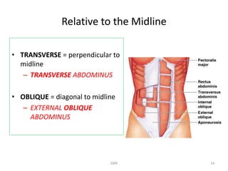 L2.The Muscular System-R.pdfClassify the muscles with examples ...