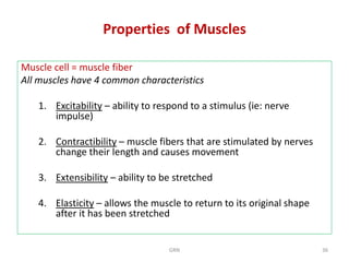 L2.The Muscular System-R.pdfClassify the muscles with examples ...