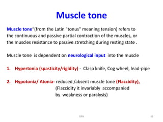 Lithe Muscular Form L2.The Muscular System-R.pdfClassify the muscles with examples ...