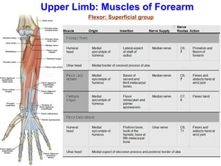 Upper Limb: Muscles of Forearm
Flexor: Superficial group
 