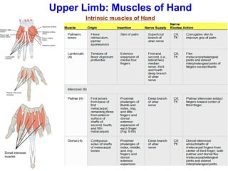 Upper Limb: Muscles of Hand
Intrinsic muscles of Hand
 