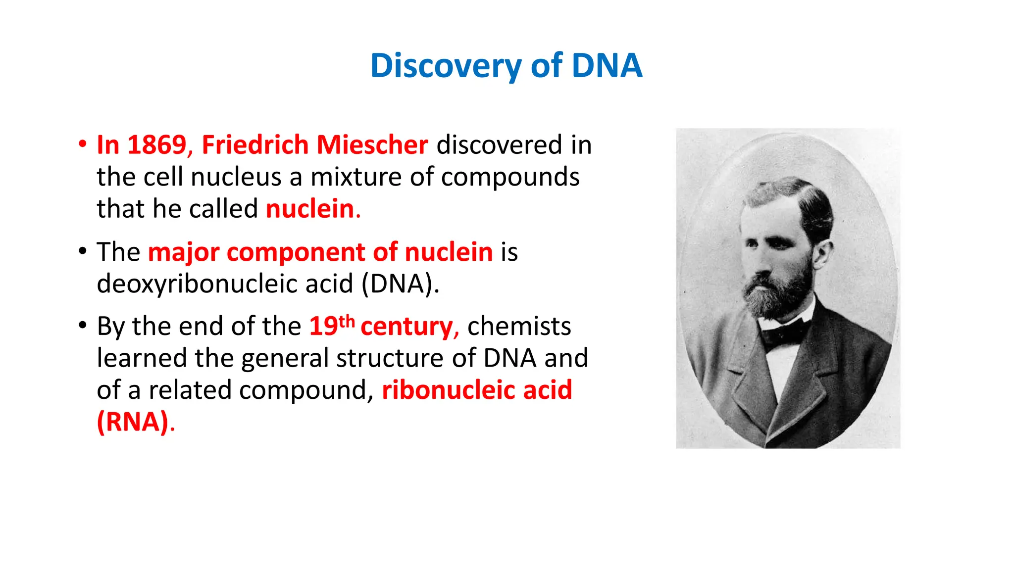 Discovery of DNA
• In 1869, Friedrich Miescher discovered in
the cell nucleus a mixture of compounds
that he called nuclein.
• The major component of nuclein is
deoxyribonucleic acid (DNA).
• By the end of the 19th century, chemists
learned the general structure of DNA and
of a related compound, ribonucleic acid
(RNA).
 