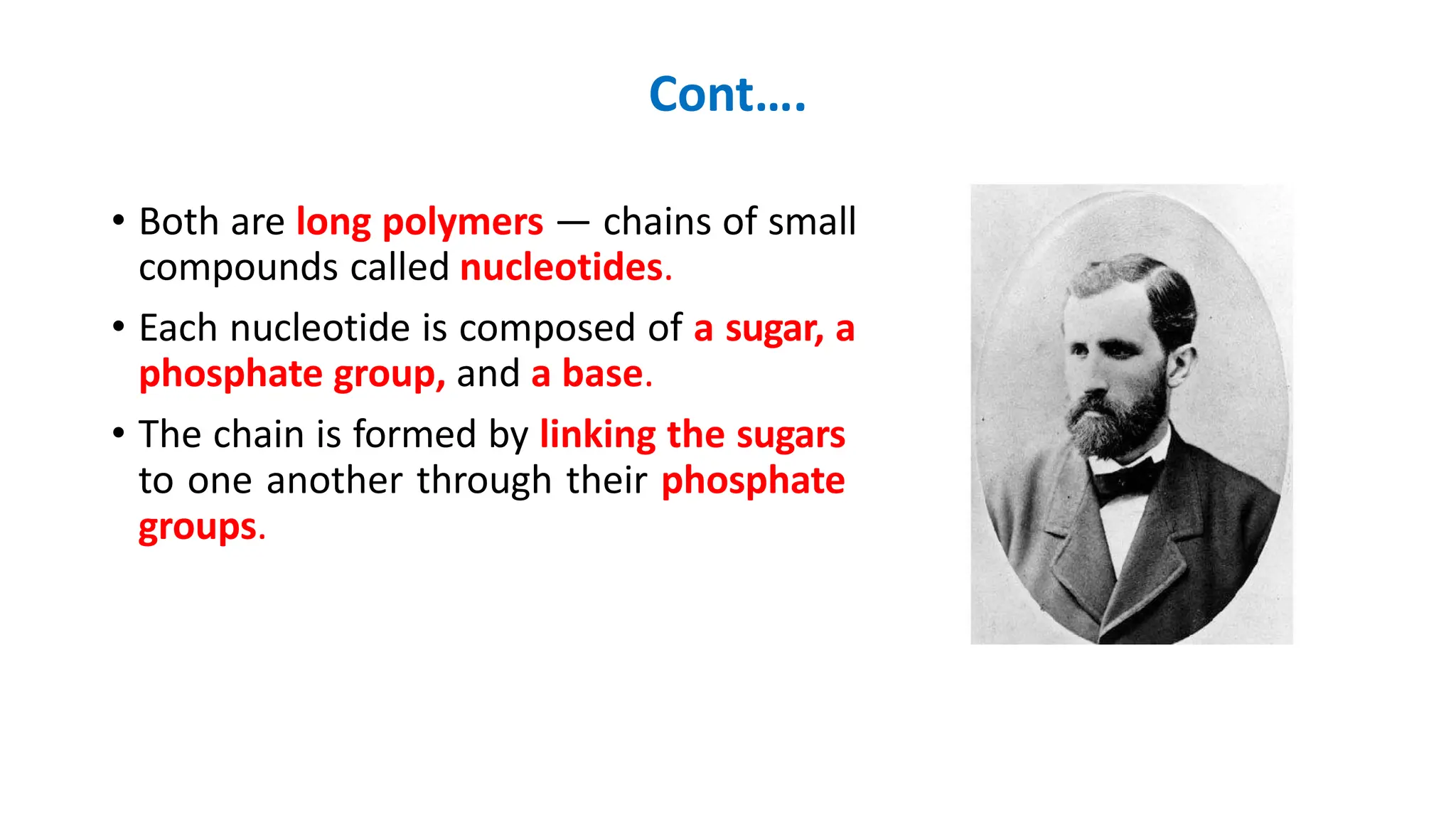 Cont….
• Both are long polymers — chains of small
compounds called nucleotides.
• Each nucleotide is composed of a sugar, a
phosphate group, and a base.
• The chain is formed by linking the sugars
to one another through their phosphate
groups.
 