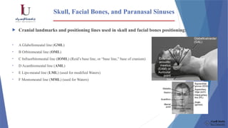 Comprehensive Radiographic Positions for Skull, Facial Bones, and ...