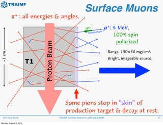 Methods of Muon Spin Rotation/Relaxation/Resonance (muSR) | PDF