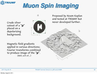 Methods of Muon Spin Rotation/Relaxation/Resonance (muSR) | PDF