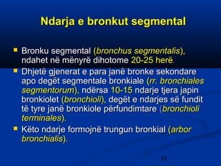 Bronke L2 cavitas thoracis | PPT