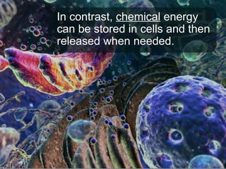 In contrast, chemical energy
can be stored in cells and then
released when needed.
 