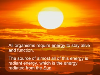 All organisms require energy to stay alive
and function.
The source of almost all of this energy is
radiant energy, which is the energy
radiated from the Sun.
 