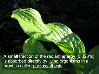 A small fraction of the radiant energy (0.023%)
is absorbed directly by living organisms in a
process called photosynthesis.
 