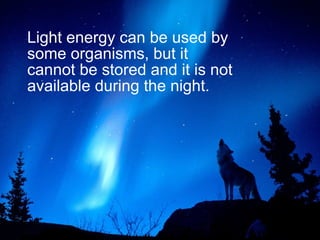 Light energy can be used by
some organisms, but it
cannot be stored and it is not
available during the night.
 