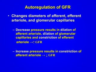 class 12 notes of zoology topic: glomerular filtration rate (GFR) | PDF
