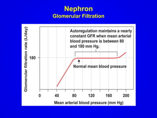 class 12 notes of zoology topic: glomerular filtration rate (GFR) | PDF