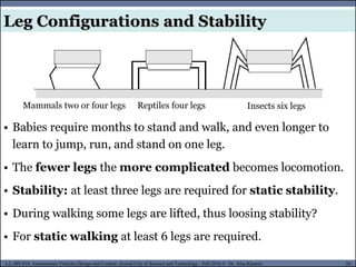 MUSES_SECRET: ORF-RE Project - © PAMI Research Group – University of Waterloo 20/22
20
L2, SPC418: Autonomous Vehicles Design and Control- Zewail City of Science and Technology - Fall 2016 © Dr. Alaa Khamis
Leg Configurations and Stability
Mammals two or four legs Reptiles four legs Insects six legs
• Babies require months to stand and walk, and even longer to
learn to jump, run, and stand on one leg.
• The fewer legs the more complicated becomes locomotion.
• Stability: at least three legs are required for static stability.
• During walking some legs are lifted, thus loosing stability?
• For static walking at least 6 legs are required.
 